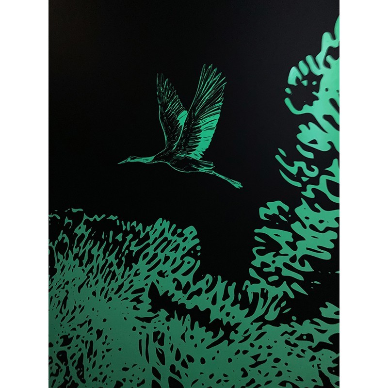 HEXGLOW01 - Film Photoluminescent